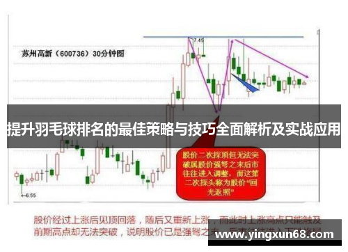 提升羽毛球排名的最佳策略与技巧全面解析及实战应用