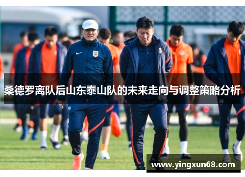 桑德罗离队后山东泰山队的未来走向与调整策略分析