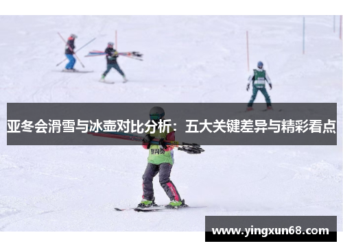 亚冬会滑雪与冰壶对比分析：五大关键差异与精彩看点