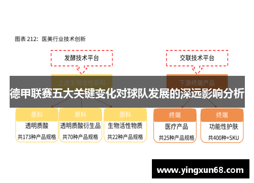 德甲联赛五大关键变化对球队发展的深远影响分析