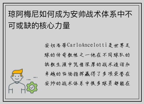 琼阿梅尼如何成为安帅战术体系中不可或缺的核心力量 琼阿梅尼如何成为安帅战术体系中不可或缺的核心力量